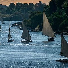 photo "Sailing on the Nile 03"