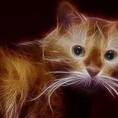 photo "Electric Cat"