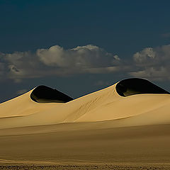 photo "Dunes 10"