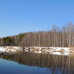 photo "Spring has come ..."