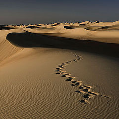 photo "Dunes 14"