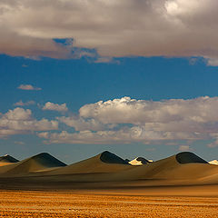 photo "Melody of Dunes"