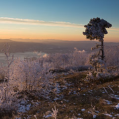 photo "Mountain guard"