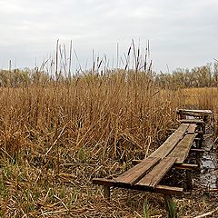 фото "Не хватает только удочки ...."