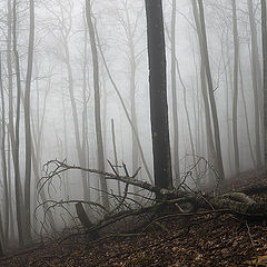 photo "Fogs of the Neberdjay"