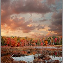 photo "Sunset over Pine Swamp"