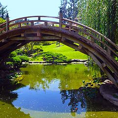 фото "Wood bridge"