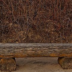 photo "Lonely bench"