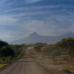 photo "Early road to Kilimanjaro"