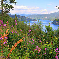 photo "Sognefjorden"