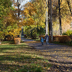 photo "Autumn in the Park"