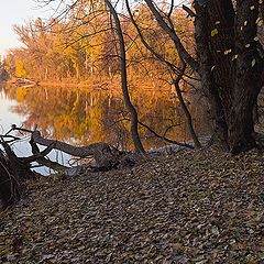 фото "Осень"