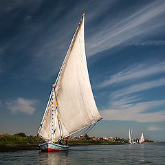 photo "Gliding on the Nile"