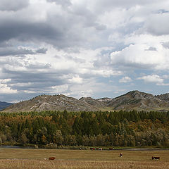 фото "Алтайские зарисовки"