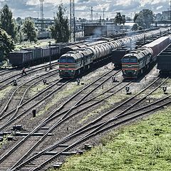 photo "Inspecting the line-up"