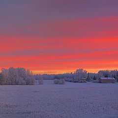 photo "Winter pink sunset"