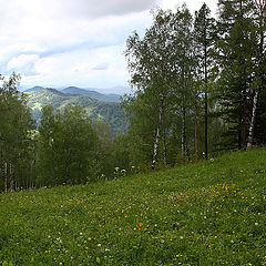 фото "Алтайские зарисовки"