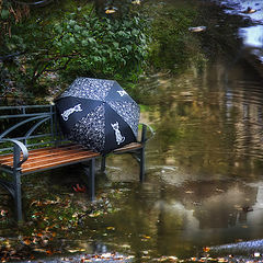 photo "Bench autumn"