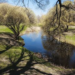 фото "Весна пришла"