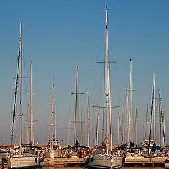 фото "Sailboats #4"