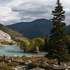 фото "Осенний день"