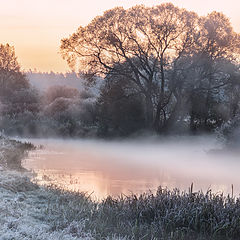 фото "Morning freshness"