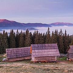 фото "Тихое утро"