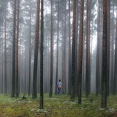 фото "...И жить. И любить. И дышать."