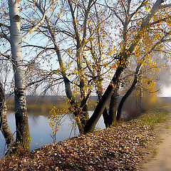 photo "Autumn path"