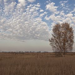 photo "Autumn Landscape"