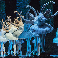 photo "Swan Lake,Russian Imperial Ballet"