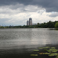 photo "Before the storm"