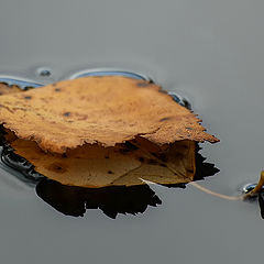 photo "Ship named Autumn..."