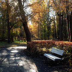 photo "last sunny days"