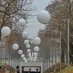 фото "Аллея"