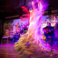 photo "The energy of flamenco"