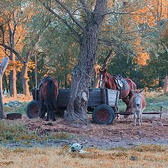 photo "In a village"