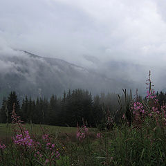 photo "birth of clouds"