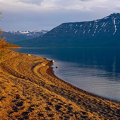 фото "Вечерний свет."