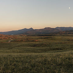 фото "Лунный лев"