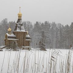 фото "Метель..."