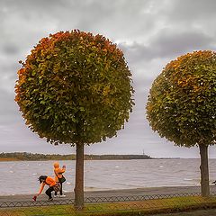 фото "Ветром шляпу сорвало"