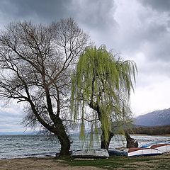 фото "Охридское озеро"