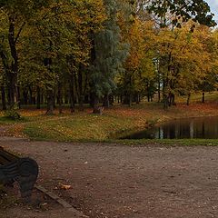 фото "Золотые краски осени."