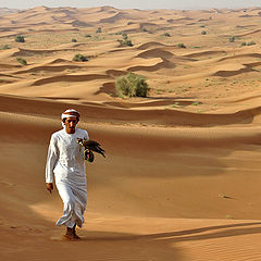 фото "Бедуин с соколом"
