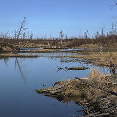 photo "Где то в районе Норильска"