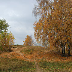 photo "Autumn motive"