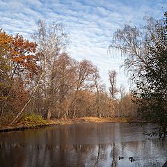 фото "Дни поздней осени"