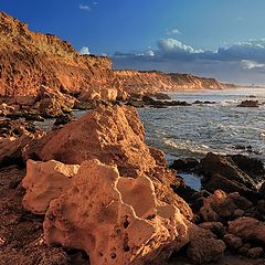 фото "Прогулка к морю"