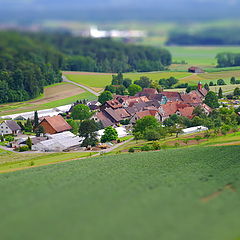 photo "Rural idyll"